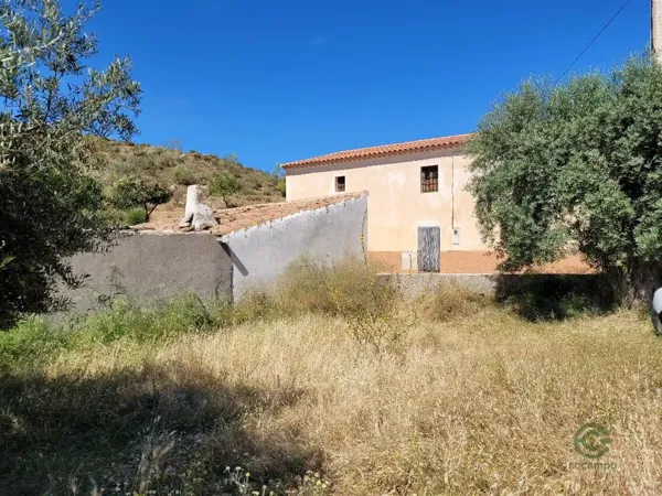 Spot image