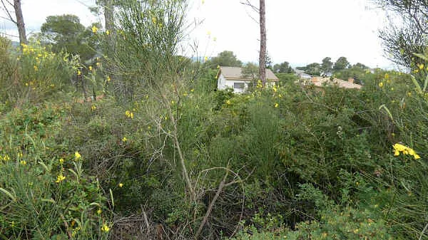 Finca rústica de 0,0602 ha en venta en Mediona, Barcelona