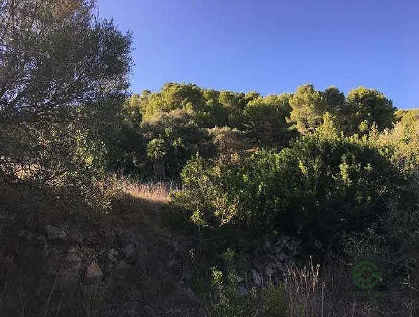 Finca rústica de 1,7758 ha en venta en Andratx, Illes balears