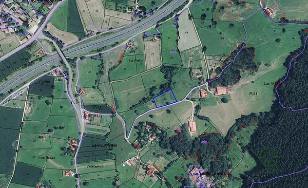 Spot image