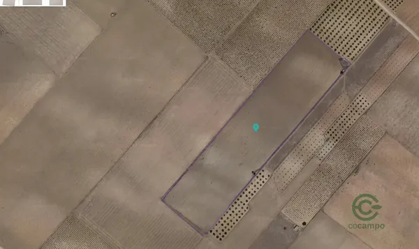 Spot image