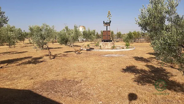 Spot image