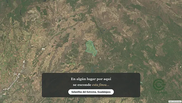 Spot image