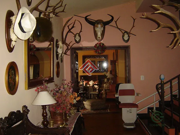 Spot image