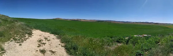 Spot image