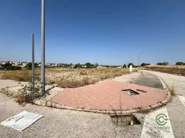 Spot image