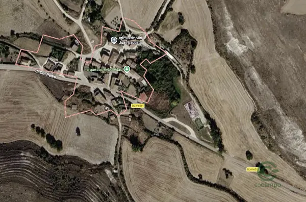 Spot image