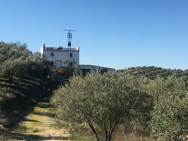 Finca agrícola de 42,3905 ha en venta en Lucena, Córdoba