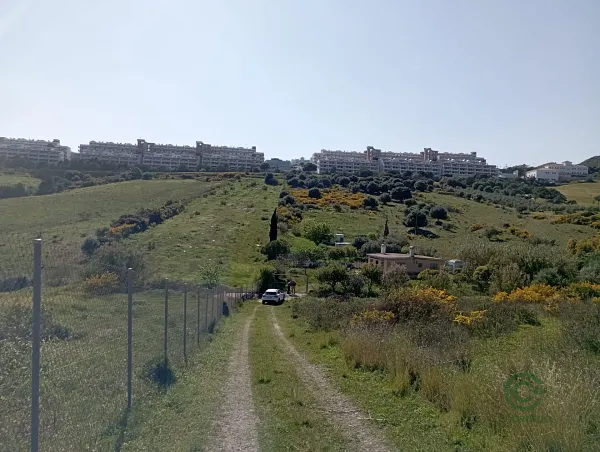 Spot image