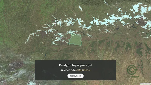 Spot image