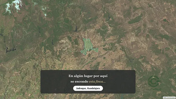 Spot image