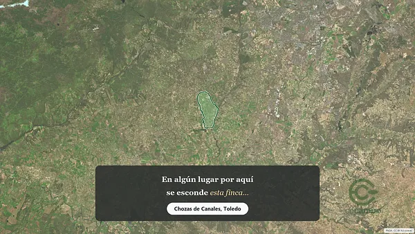 Spot image
