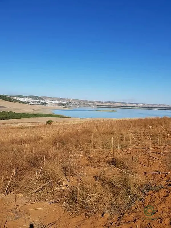 Finca rústica de 7 ha en venta en Arcos de la frontera, Cadiz