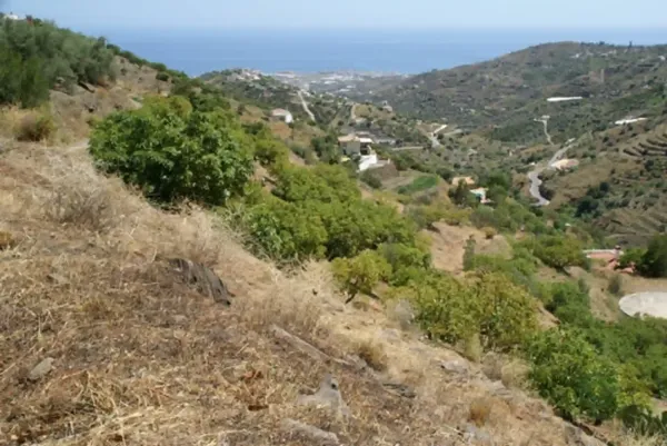 Spot image