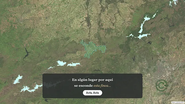 Spot image