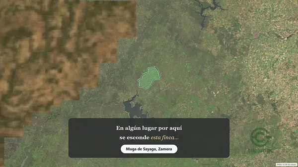Spot image