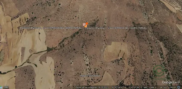 Spot image