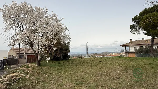 Spot image