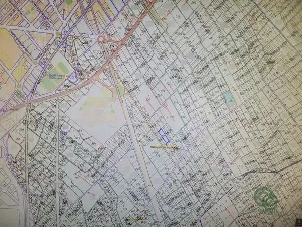 Spot image
