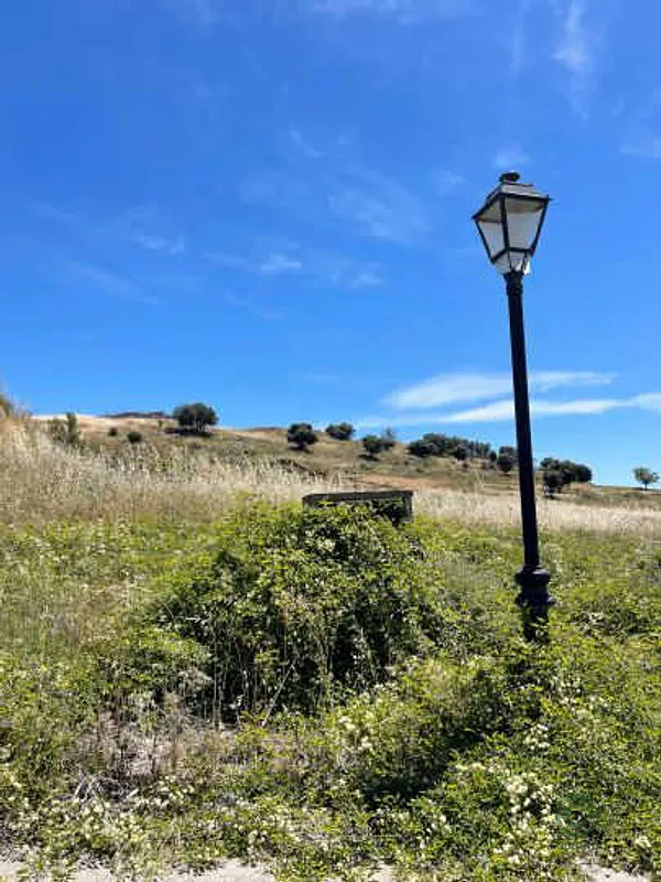 Spot image