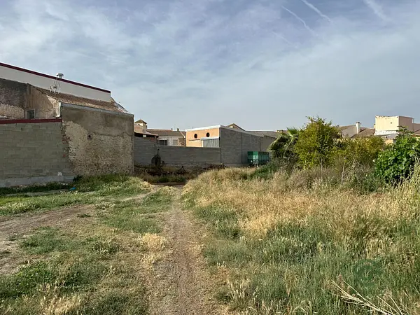 Spot image