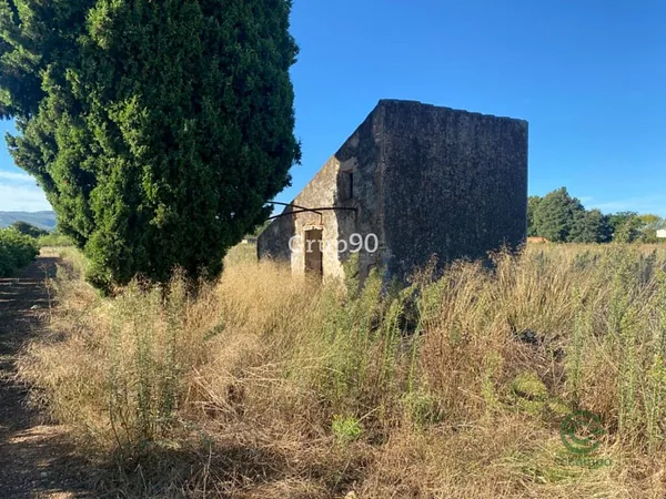 Spot image