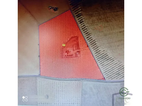 Spot image
