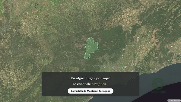 Spot image