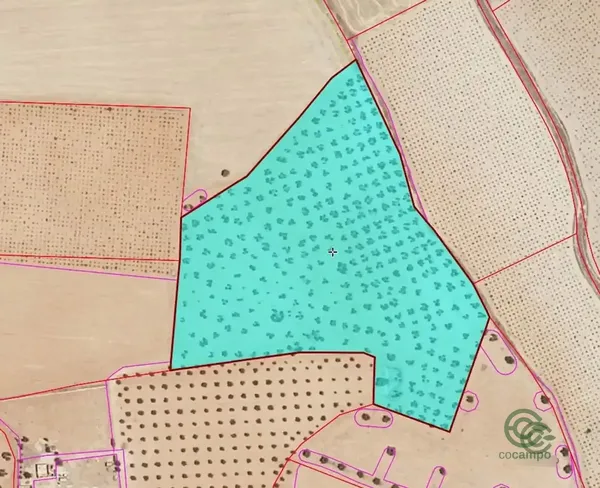 Spot image