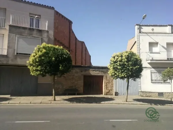 Spot image