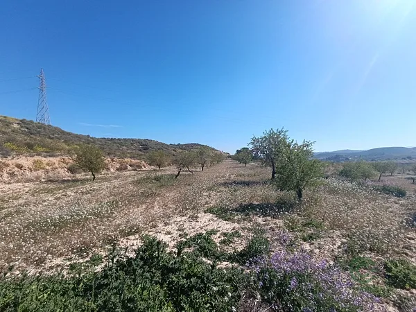 Spot image