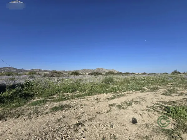 Finca agrícola de 1 ha en venta en Aspe pedanias, Alicante
