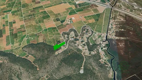 Spot image