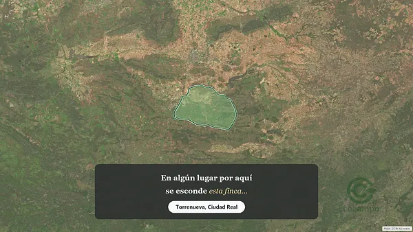 Spot image