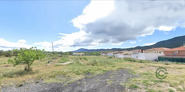 Spot image