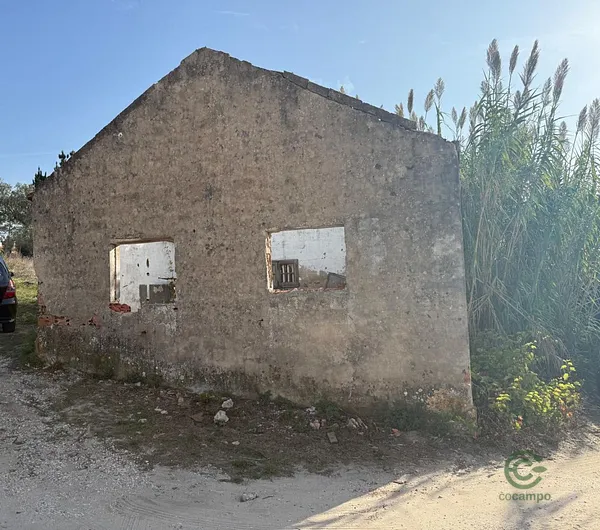 Spot image