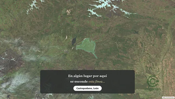 Spot image
