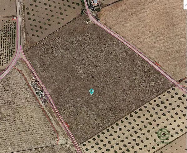 Spot image