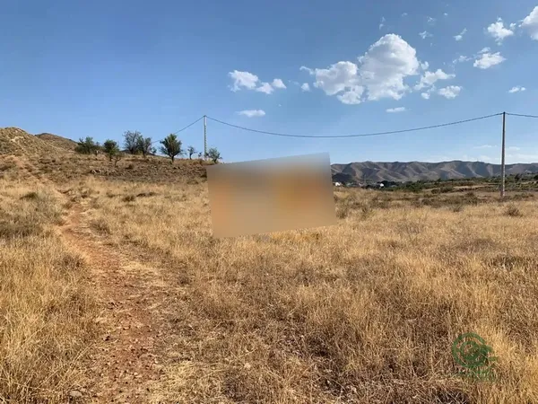 Spot image