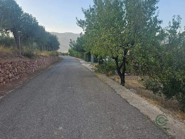 Spot image
