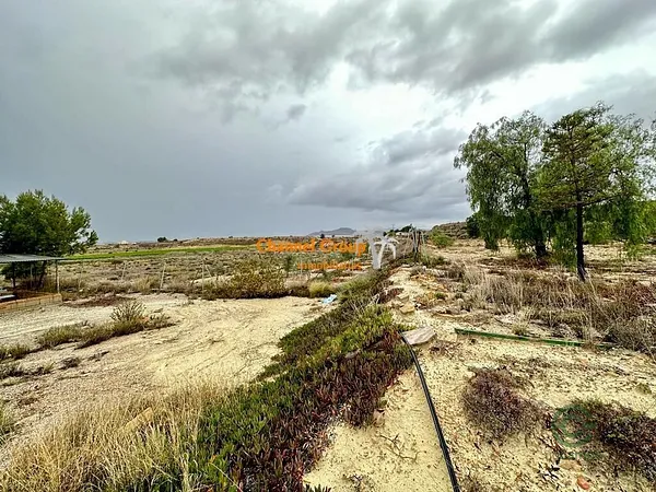 Finca rústica de 1,49 ha en venta en Novelda, Alicante