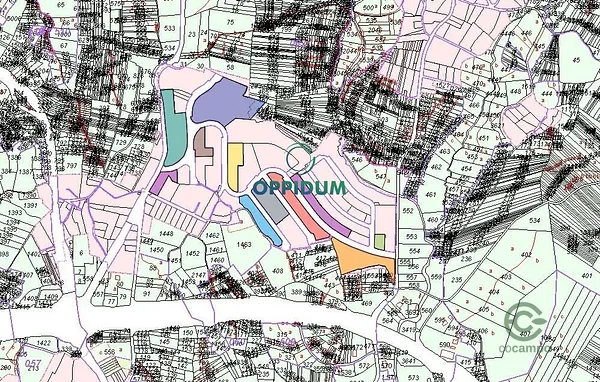 Spot image