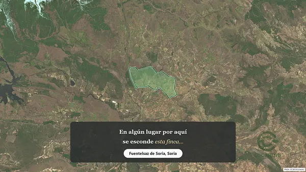 Spot image