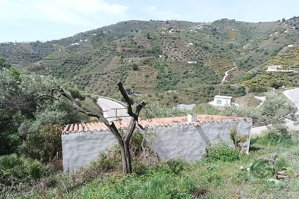Spot image