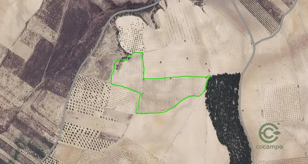 Spot image