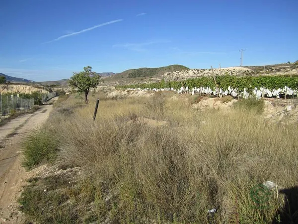 Spot image