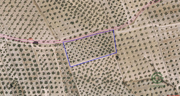 Finca agrícola de 0,8 ha en venta en Granada