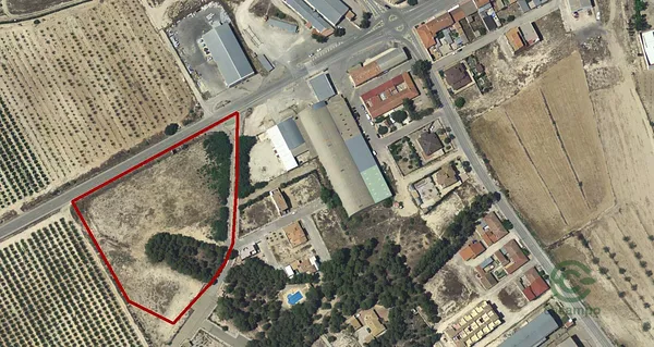 Spot image