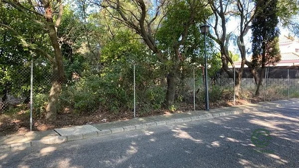Spot image