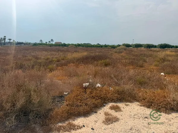 Spot image